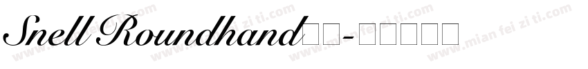 Snell Roundhand字体字体转换